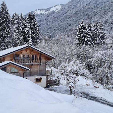 Appartement Borne Saint-Jean-dʼAulps エクステリア 写真