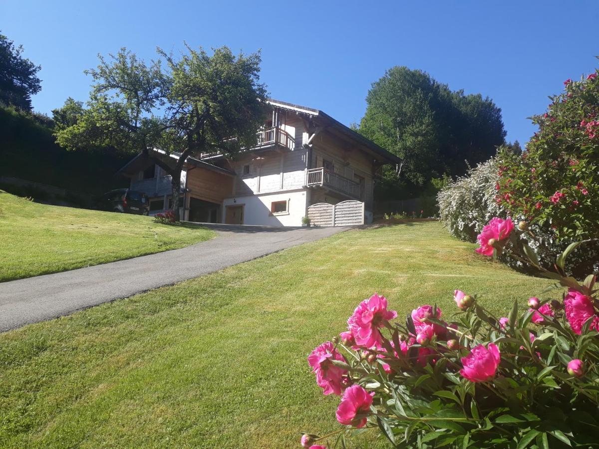 Appartement Borne Saint-Jean-dʼAulps エクステリア 写真