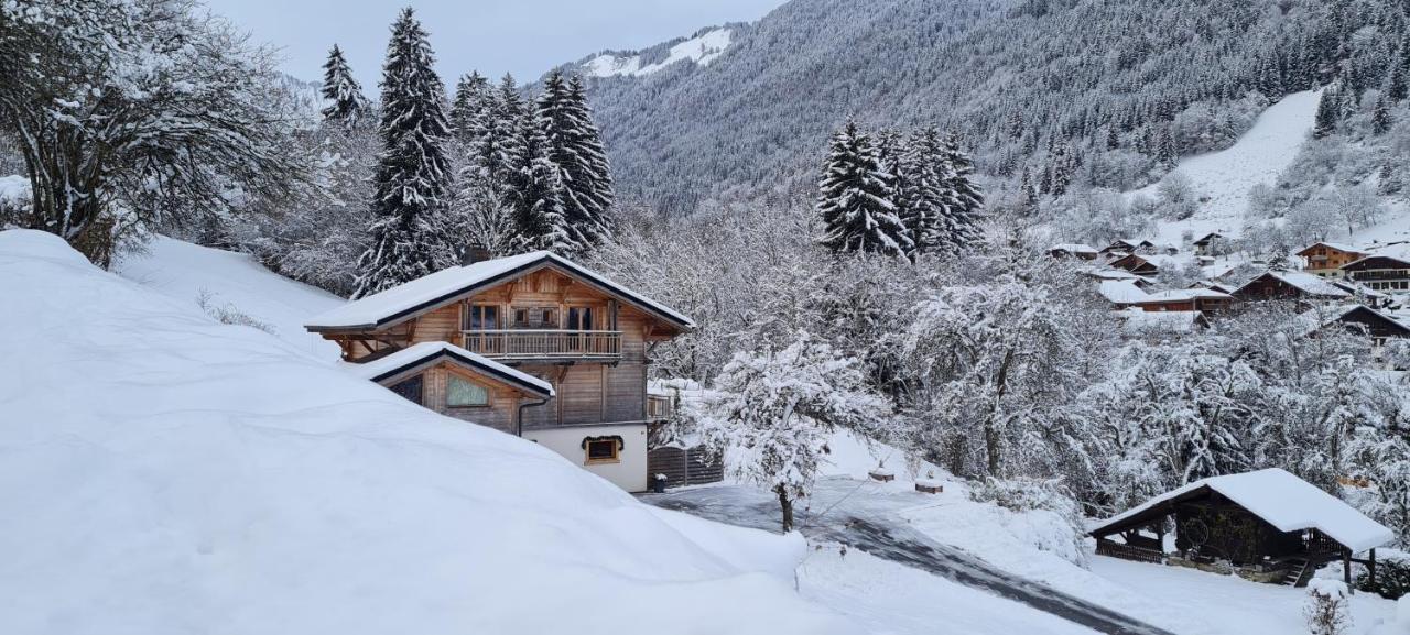 Appartement Borne Saint-Jean-dʼAulps エクステリア 写真