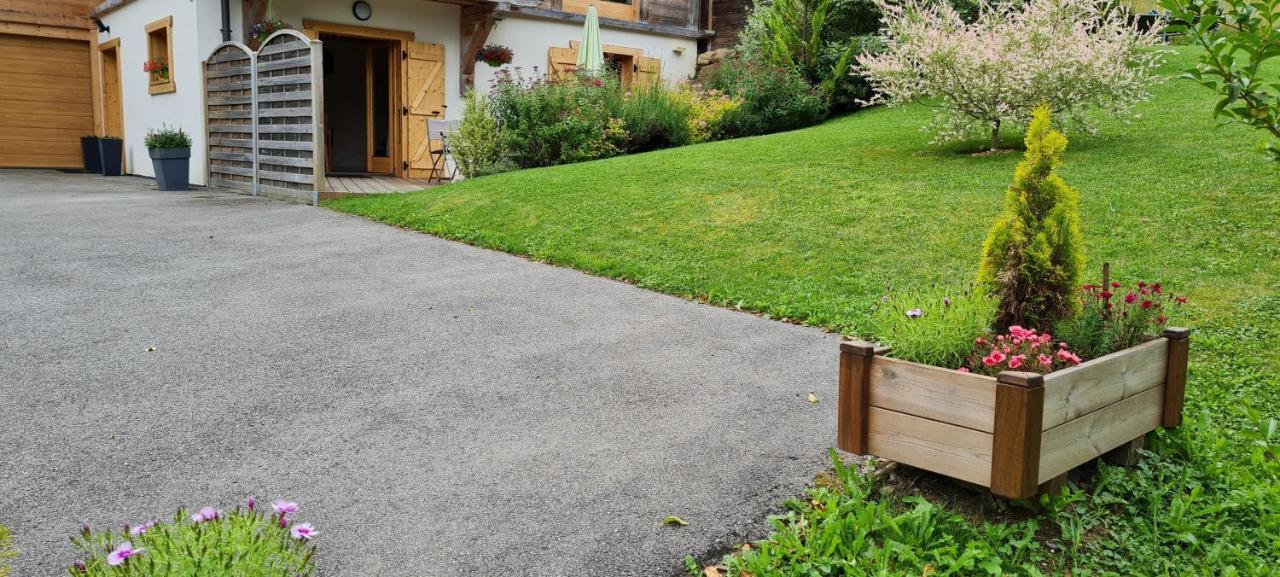 Appartement Borne Saint-Jean-dʼAulps エクステリア 写真
