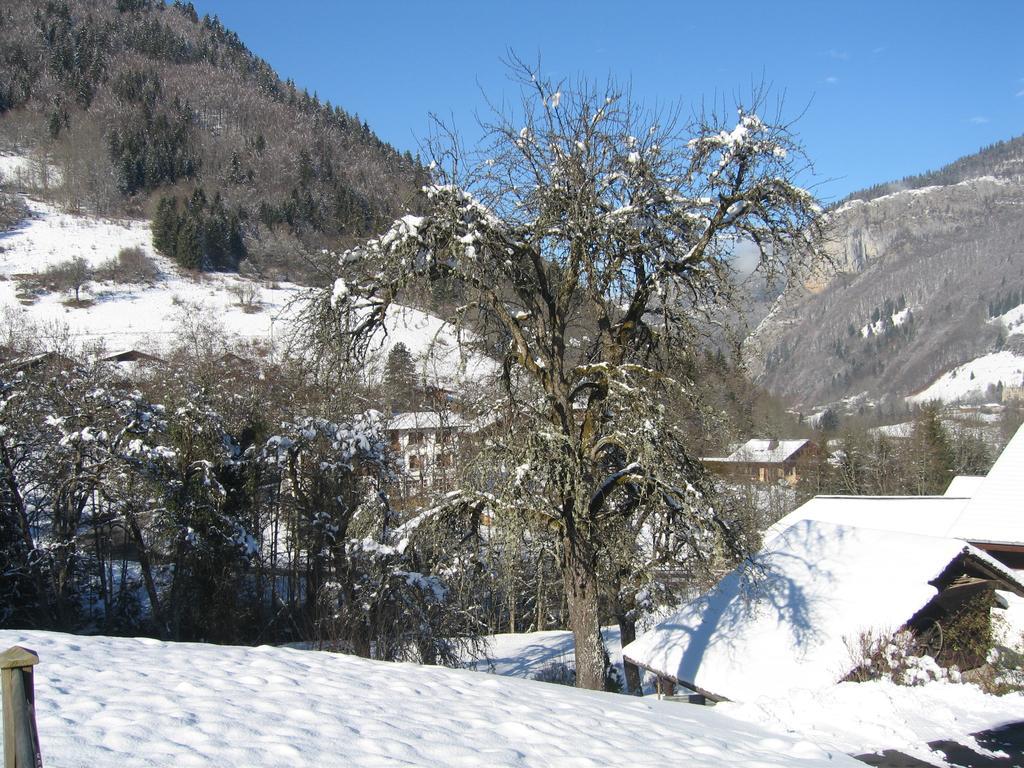 Appartement Borne Saint-Jean-dʼAulps 部屋 写真